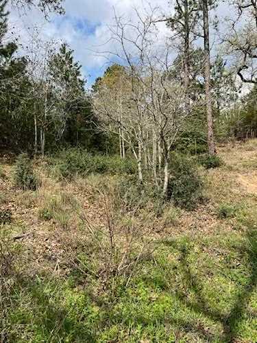Lot 1172 Pahalawe LN Bastrop, TX 78602