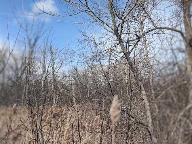 01 County Line Rd Highland Park, IL 60035 | MLS 11740233 Photo 1