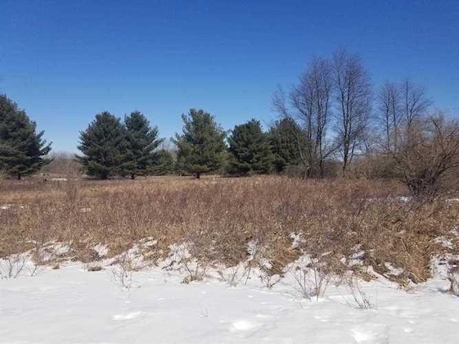 11589 Maple Ridge Dr Morton Twp, MI 49346