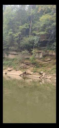 4D Pine Grove Rd Rd Beattyville, KY 41311