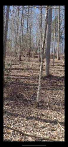 3C Pine Grove Rd Beattyville, KY 41311