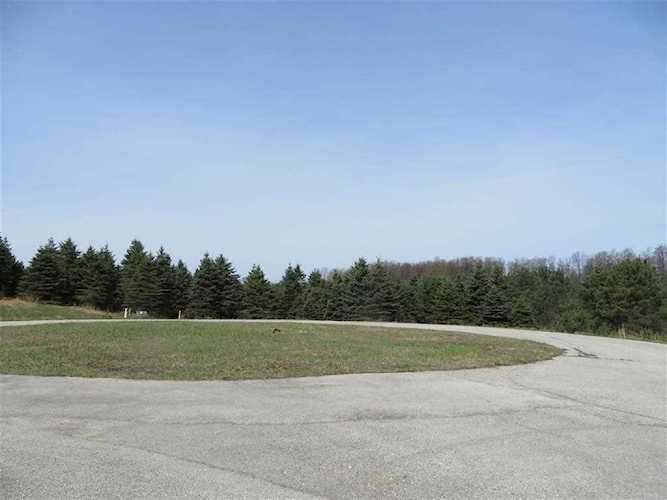 10963 Spruce Hollow Trace Fife Lake Twp, MI 49633