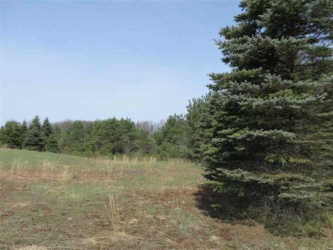 10879 Spruce Hollow Trace Fife Lake Twp, MI 49633