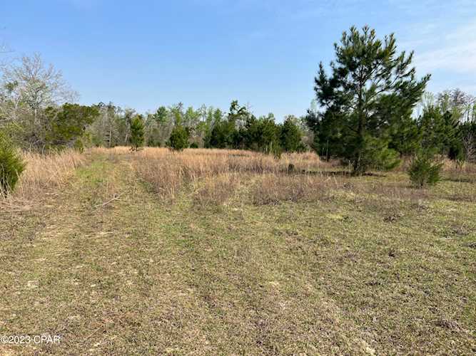 0000 Eagle Trl Alford, FL 32420