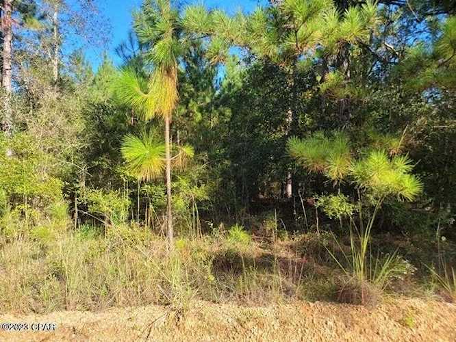 000 Creek Run Rd Vernon, FL 32462