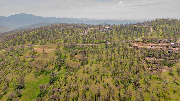 Wolverine Ln Squaw Valley, CA 93675 | MLS 222731 Photo 1