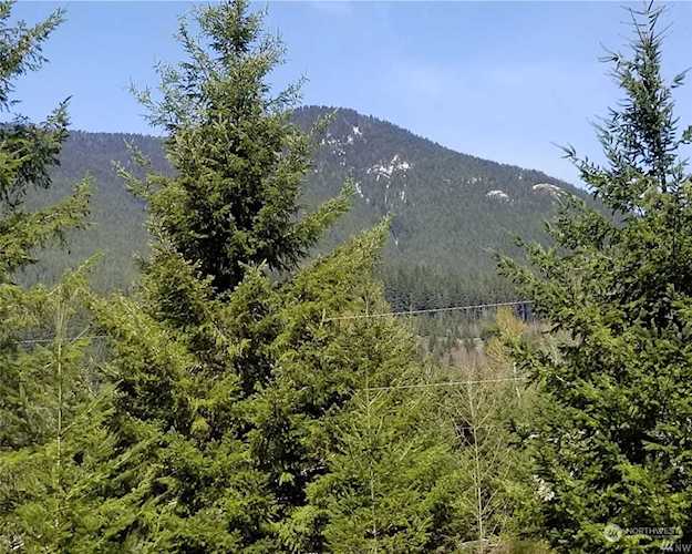 107 Jack Fir Ct W White Pass, WA 98361