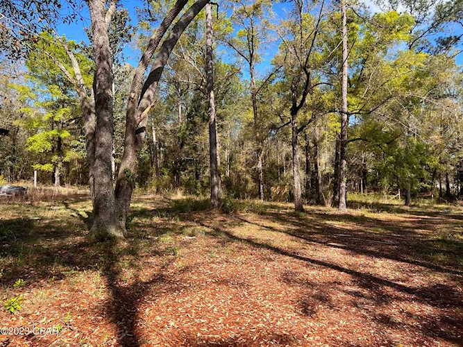 30589 NE County Road 67 Hosford, FL 32334