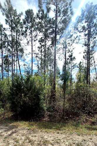 XX Meadowfield Ct Marianna, FL 32446