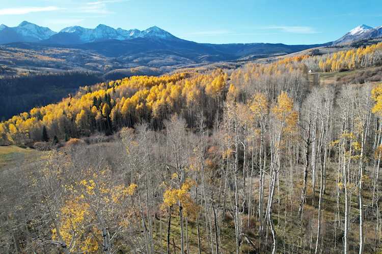 TBD Little Cone Ranch Rd #tract 2 Placerville, COLORADO 81430