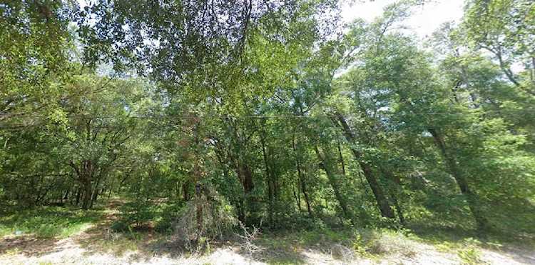 Locust Radical COURSE Ocala, FL 34472 | MLS O6097278 Photo 1