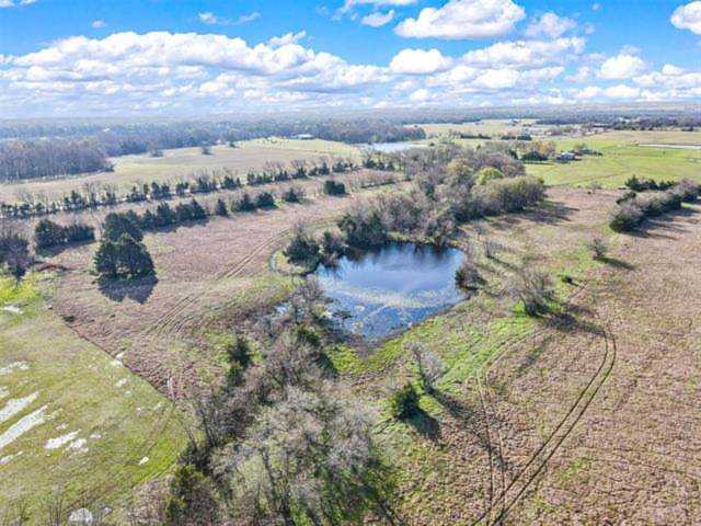 County Road 669 Blue Ridge, TX 75424