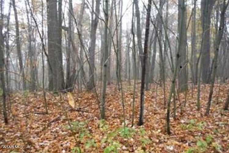 Lot 201 Ironmasters Claysburg, PA 16625 | MLS 71500 Photo 1