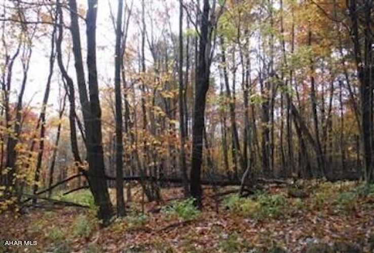 L175 Kittaning Run Claysburg, PA 16625 | MLS 71501 Photo 1