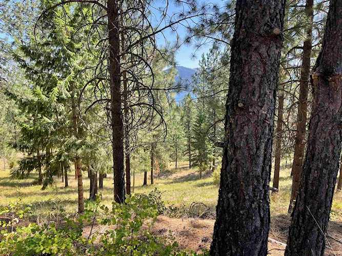 Lot 18 W Canyon Springs Way Loon Lake, WA 99148 | MLS 202312866 Photo 1