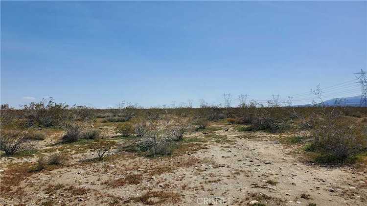 0 Near 126th St East & Ave U-10 Pearblossom, CA 93553