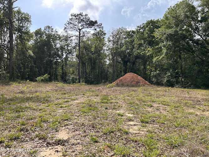 58 Doubloon Dr Carriere, MS 39426