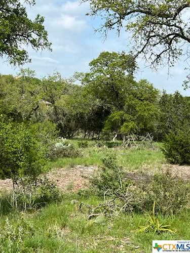 225 Shady Hollow New Braunfels, TX 78132