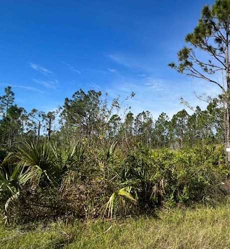 3303 Slater St Port Charlotte, FL 33980