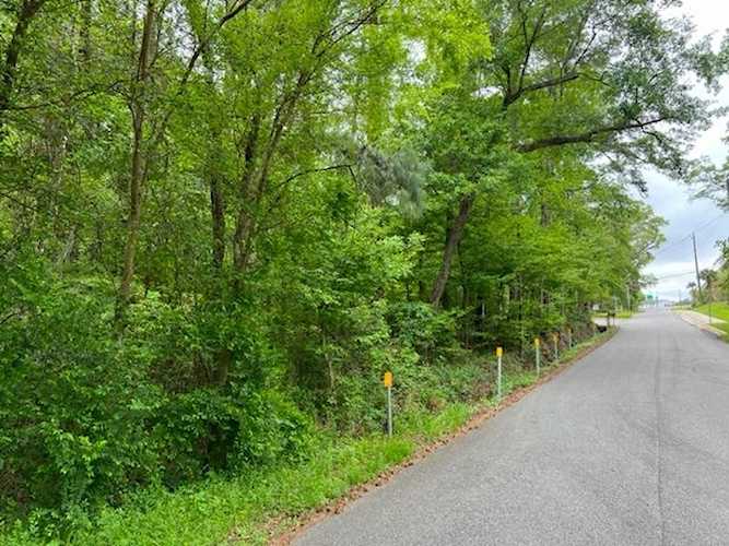 0 Okeeheepkee Rd Tallahassee, FL 32303 in Plantation Of Pecan En. Photo 1