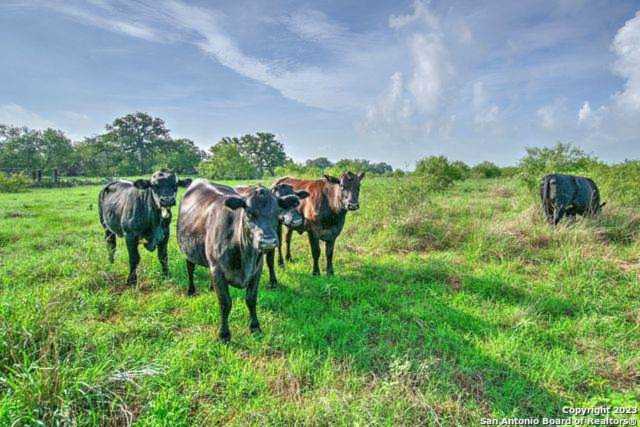 0000 Fairview Rd Pleasanton, TX 78064