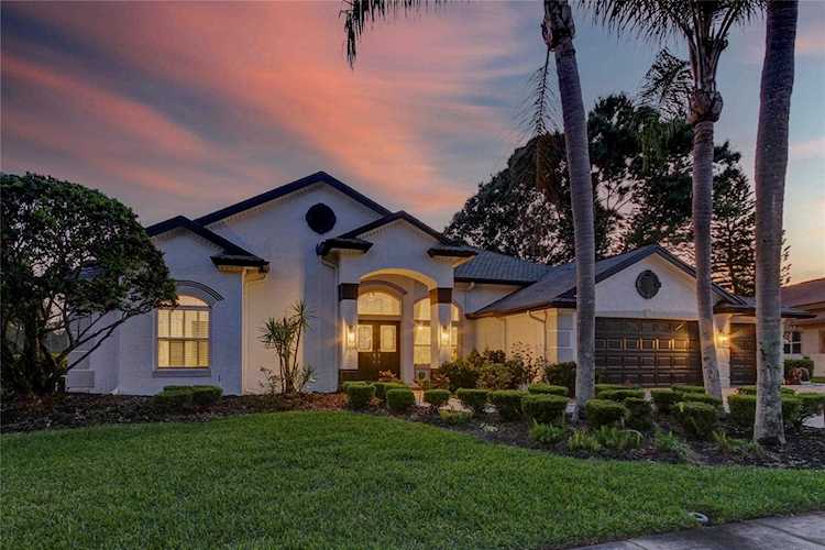 16316 Birkdale Dr Odessa, FL 33556 | MLS T3436826 Photo 1