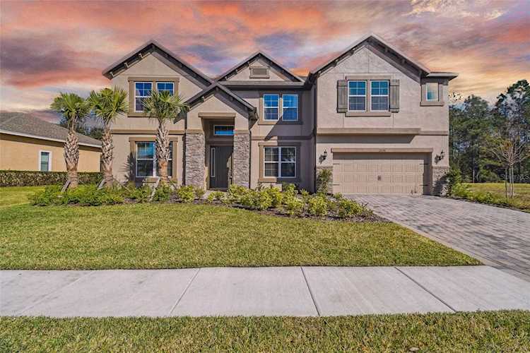 32101 Summerglade Dr Wesley Chapel, FL 33545