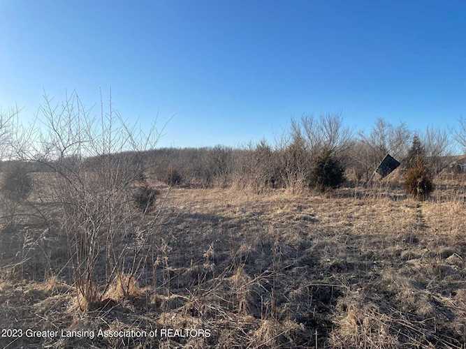 Na Lemon Rd Bancroft, MI 48414