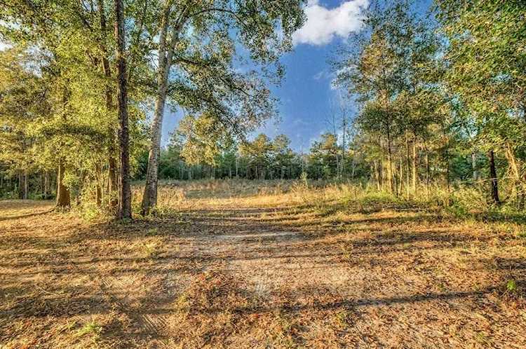 XXX N Meridian Rd Tallahassee, FL 32312