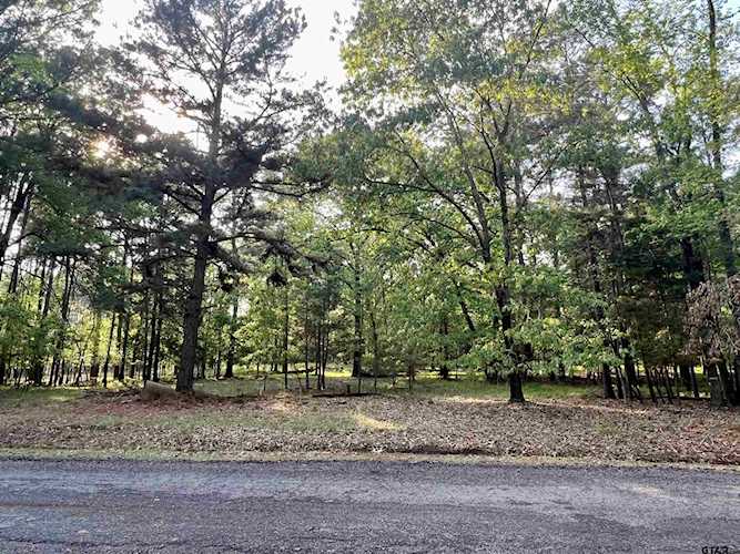 TBD Lot 62 Lock Mountain Rd. Avinger, TX 75630