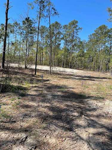 Bb Watson Rd. Conway, SC 29526 | MLS 2306037 Photo 1