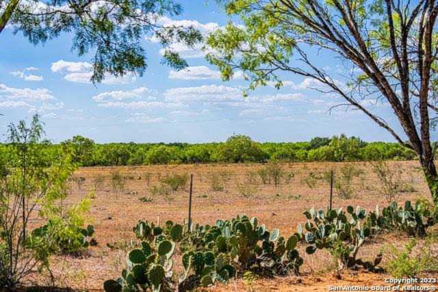 6450B Cr 307 Jourdanton, TX 78026