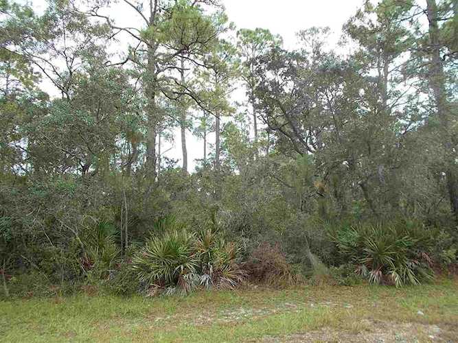 22 Piper Ln Panacea, FL 32346