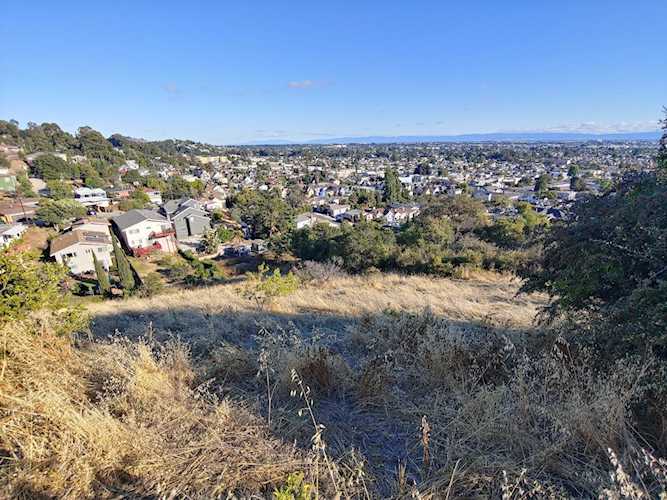 6935* Simson St OAKLAND, CA 94605