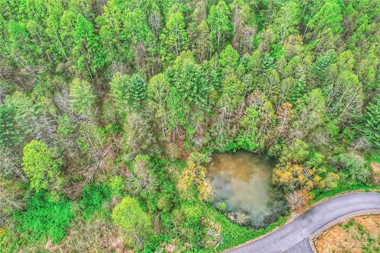 175 Blackberry Cove Dr Mars Hill, NC 28754