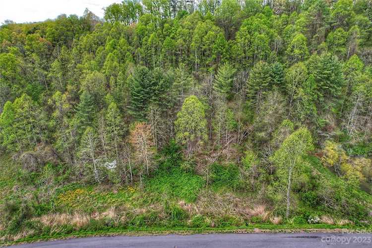 111 Blackberry Cove Dr Mars Hill, NC 28754