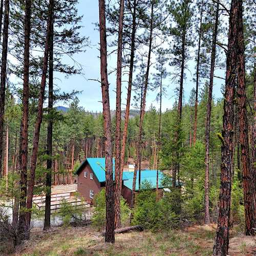 142 Buffalo Bill Rd Plains, MT 59859