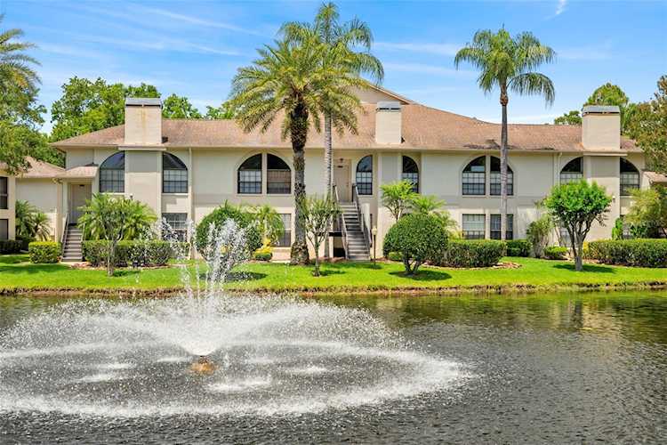 3350 Mermoor Dr #1101 Palm Harbor, FL 34685