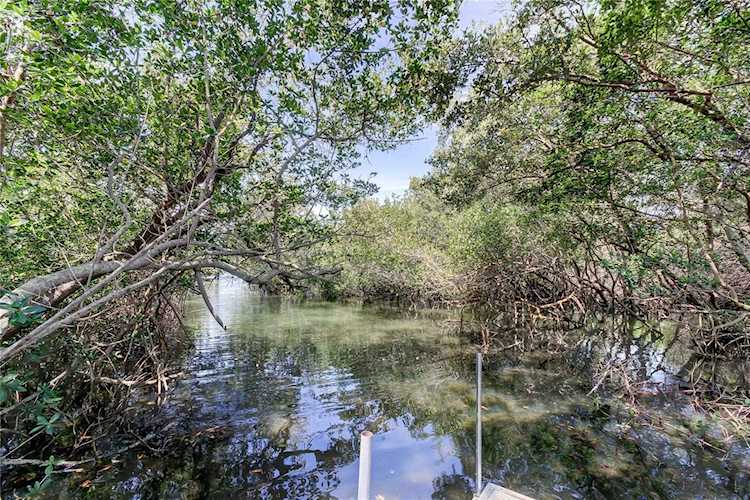 5828 Oakhurst Dr Seminole, FL 33772