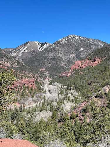 57T Fall Creek Rd. #10 Placerville, COLORADO 81430 | MLS 41522 Photo 1