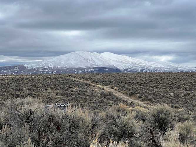 Buchananan Ave Ryndon, NV 89801
