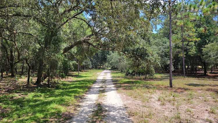 #2 - 12.81ac NE 127th Street Fort Mc Coy, FL 32134