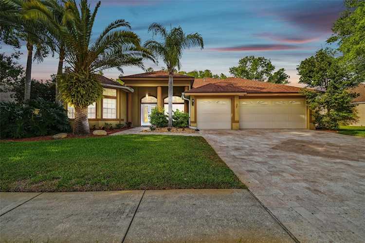 4365 Fallbrook Blvd Palm Harbor, FL 34685 | MLS U8199089 Photo 1