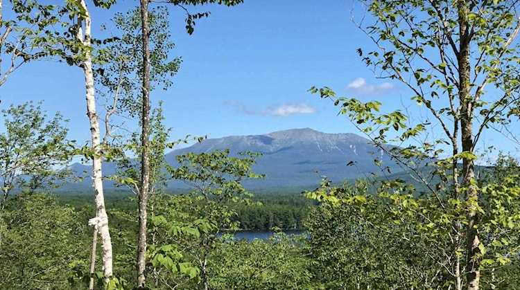 81-1 Black Cat Rd T1 R9 Wels, ME 04462