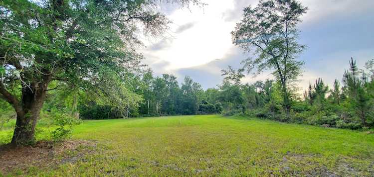 78.7 acres SW Vacant Mt Gilead Rd Greenville, FL 32331