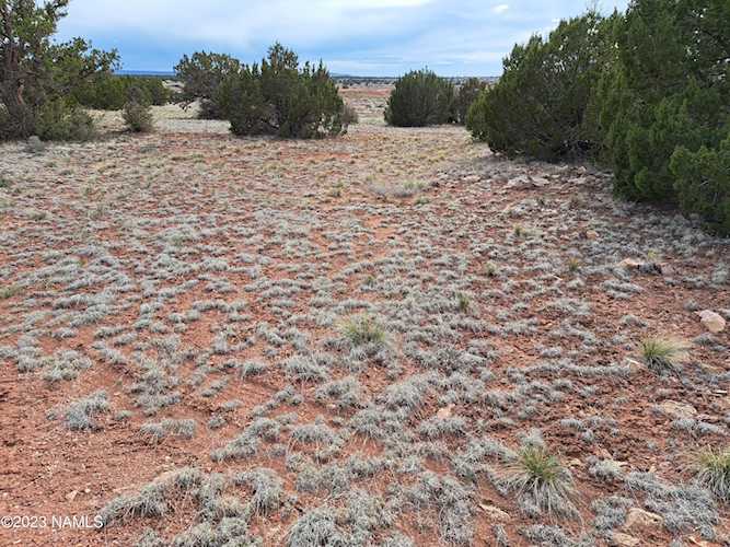 4902 Us Highway 180 Valle, AZ 86046