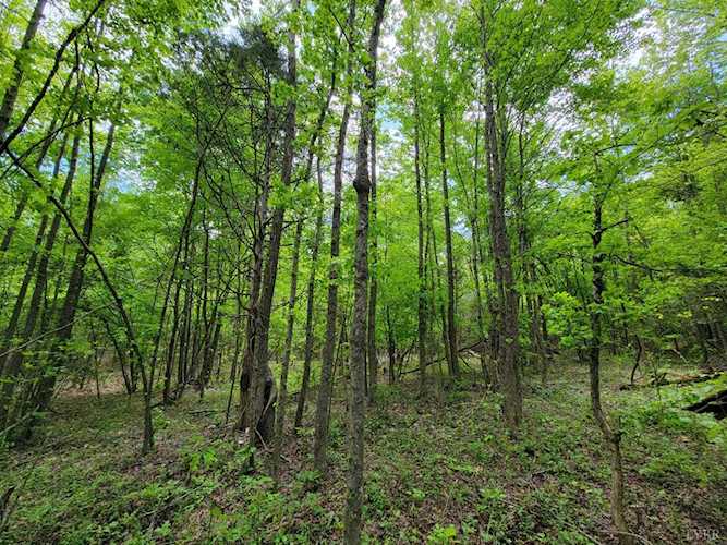 8091 Howard P Anderson Rd Nathalie, VA 24577