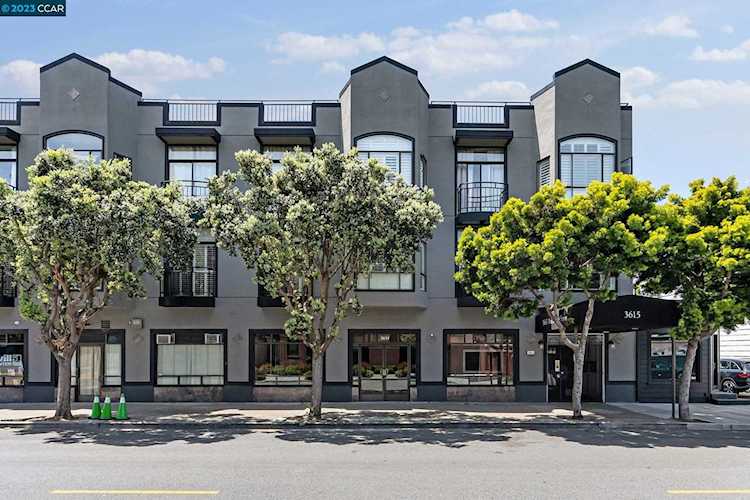 3615 Buchanan St San Francisco, CA 94123