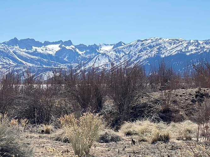 235 Lakeside Dr Bridgeport, CA 93517