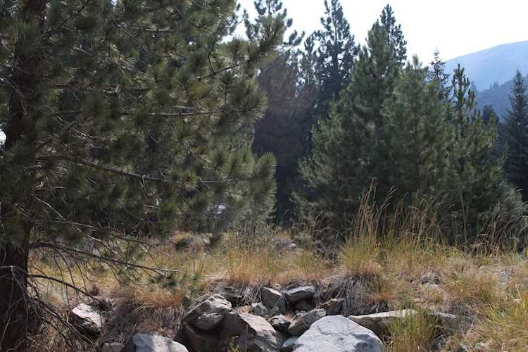 235 Westwood Drive Bridgeport, CA 93529